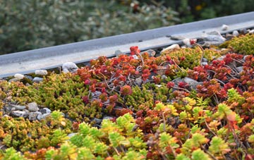 the cost of Ryefield green roof installation