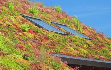 Ryefield living roof systems