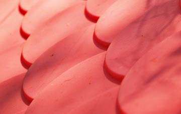 Ryefield plastic roof costs