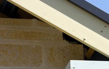soffit repair Ryefield
