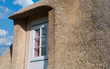 Ryefield thatch roof disadvantages